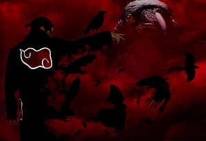 Itachi Crows, HD wallpaper