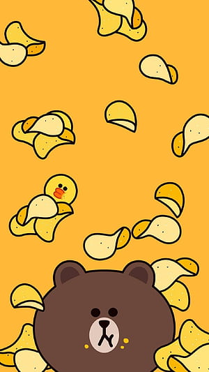 Korean Bear Background, Cat Eating Chips, HD phone wallpaper
