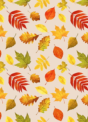 Autumn Solid, HD phone wallpaper