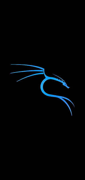 Kali Linux Blue, hacker, hacking, kali, linux, nethunter, offensive security, phone, HD phone wallpaper