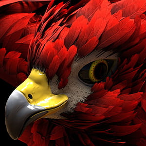 Jack Red Eagle, HD phone wallpaper