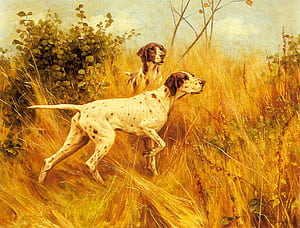 English Pointer . Mouse Pointer , Pointer Sisters and Pudelpointer, HD wallpaper