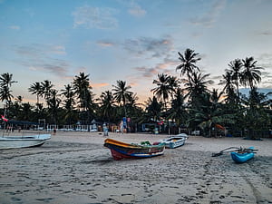 Trincomalee Travel Guide: Underrated Beach Destination in Sri Lanka Wild Places, HD wallpaper