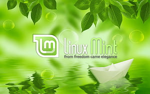 My Linux Mint, Linux Cinnamon, HD wallpaper