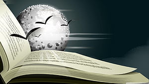 Knowledge, General Knowledge, HD wallpaper