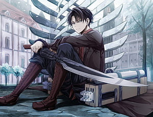 Levi, HD wallpaper