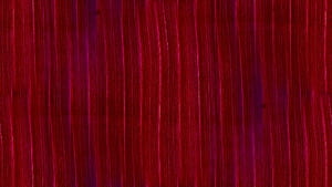 of Maroon, red, background, web, website, Maroon Texture, HD wallpaper