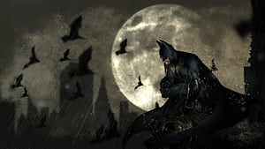 Batman Arkham City, Batman, Batman: Arkham City, DC Comics, HD wallpaper