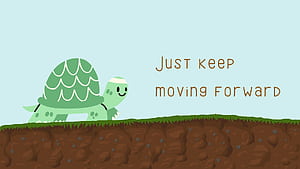 Turtle Computer, HD wallpaper