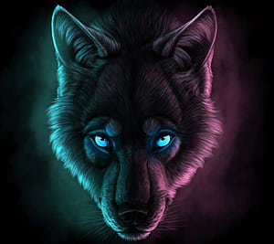 Cool Wolf Faces, HD wallpaper