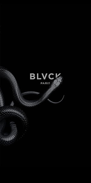 BLVCK Python, blvck paris phone, Black Python, HD phone wallpaper