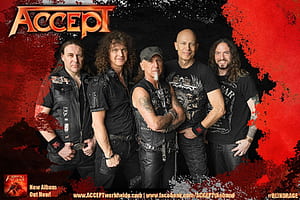 Accept, HD wallpaper