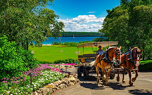 Things To Do On Mackinac Island, HD wallpaper