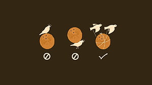 Monty Python And The Holy Grail background Fresh [] for your , Mobile & Tablet. Explore Monty Python . Colt Python , Python, HD wallpaper