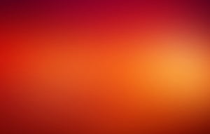 Autumn Solid, HD wallpaper