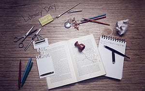 Assignment, HD wallpaper