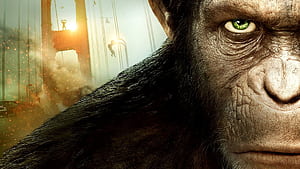 Rise of the Planet of the Apes. Where to watch streaming and online in New Zealand, HD wallpaper