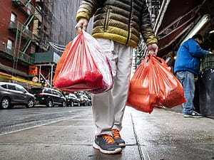 Using Biodegradable Plastic Bags, HD wallpaper