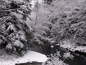 Indian River in wintertime. Sitka National Historical Park, HD wallpaper