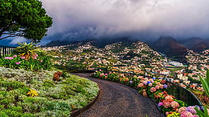 Portugal Funchal Madeira Islands, HD wallpaper