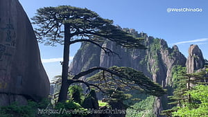 Mount Huangshan, Yellow Mountain Tours @WestChinaGo, HD wallpaper
