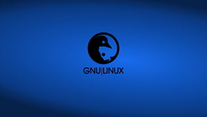 Linux GNU, Computer, , , Background, and, HD wallpaper