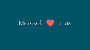Developing for Windows from Linux., I Love Linux, HD wallpaper