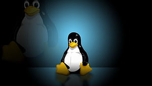 Linux (2) (2) Site, HD wallpaper