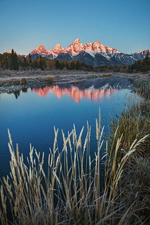 Green grass near lake and mountain during daytime, HD phone wallpaper