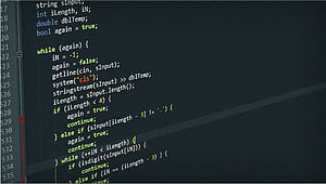 Web Developer Coding, HD wallpaper