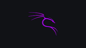 Kali Linux - Purple, Kali Linux, .hack, Linux, HD wallpaper