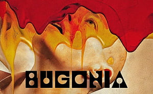Bugonia Review. Where have all the bees gone?, HD wallpaper