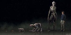 Demodog Evolution, HD wallpaper