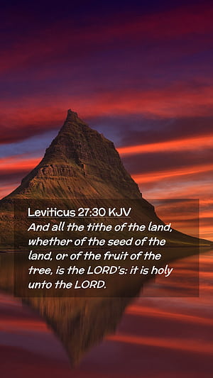 Tithe, HD phone wallpaper
