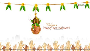 Dahi Handi, HD wallpaper