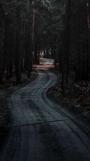 Forest, Road, Winding, Dark, Nature Iphone 8 7 6s 6 For Parallax Background, HD phone wallpaper