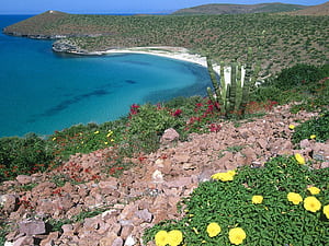 Baja california, Baja california sur, HD wallpaper