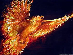 Fire Eagle . Eagle Com. px. Background, Red Eagle, HD wallpaper
