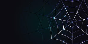 spider webs background blue style with shadow, use of background, , presentation, etc, Sp5der, HD wallpaper