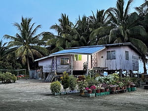 Important Things To Know Before Visiting Borneo, Malay Village, HD wallpaper