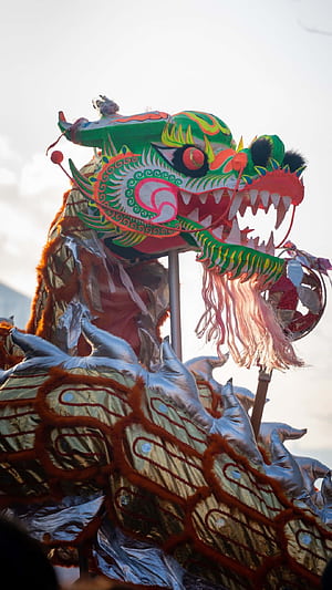 Dragon Dance, HD phone wallpaper
