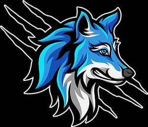 Wolf Vector, HD wallpaper