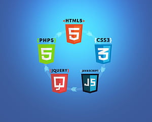 Develop and design website using php html css javascript and wordpress, HTML CSS JS, HD wallpaper
