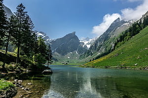 A mountain lake surrounded by trees and grass, HD wallpaper