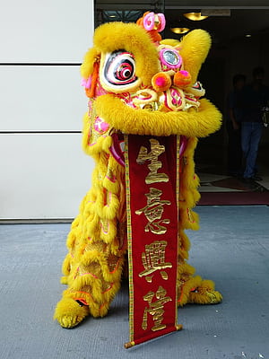 chinese dragon, ground, lion dance, chinese, tradition, new year, luck, dancing, HD phone wallpaper