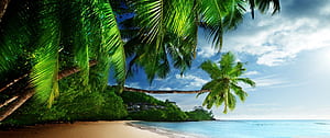Tropical Island Ultra, 3440x1440 Beach, HD wallpaper