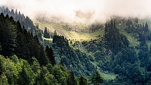 Breathtaking Misty Mountain Landscape View ·, HD wallpaper