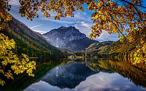 autumn, mountains, branches, lake, reflection, Austria, Alps, Austria for mobile and , section пейзажи, resolution, HD wallpaper