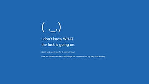 Windows BSOD Meme (source /funny Linux), HD wallpaper