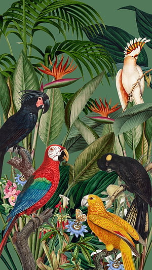 Exotic birds jungle iPhone . Premium Illustration, HD phone wallpaper